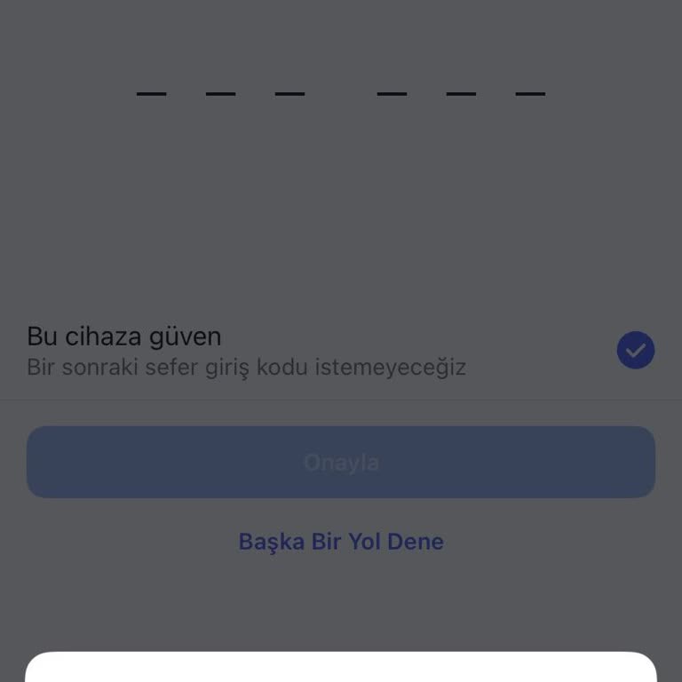 Instagram Hesabına Giriş Sorunu ve Destek Eksikliği