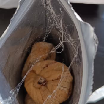 Milhans Gıda Kuru İncir Paketi Kurtlanmış