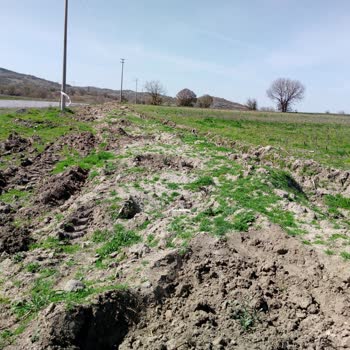 Belediye Yolunun İşgali Ve İlgisizlik