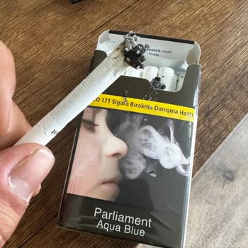 Parliament Aqua Blue'da Kalite Düşüşü Ve Odun Parçaları Sorunu