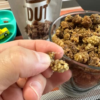 Carrefour'dan Aldığım Dut Kuruları Böcekli Çıktı