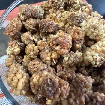 Carrefour'dan Aldığım Dut Kuruları Böcekli Çıktı