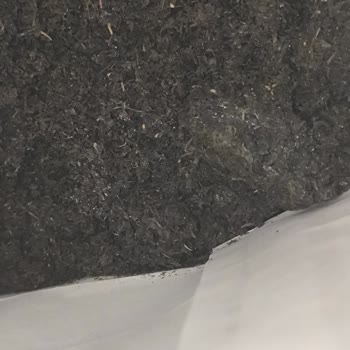 Küflü Çay Skandalı: Güvenimizi Sarsan Deneyim