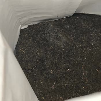 Küflü Çay Skandalı: Güvenimizi Sarsan Deneyim