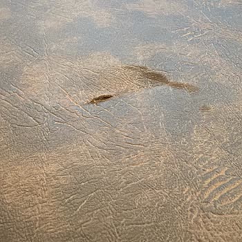 Aras Kargo'nun İhmali: Hasarlı Gitarlar Ve Cevapsız Şikayet