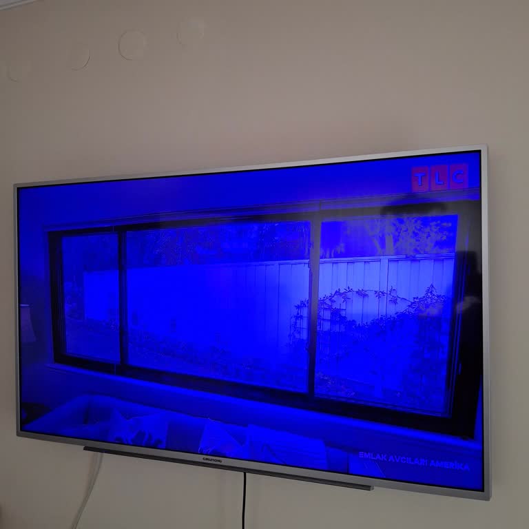 Mavi Işık Kabusu: Göz Yoran Televizyon