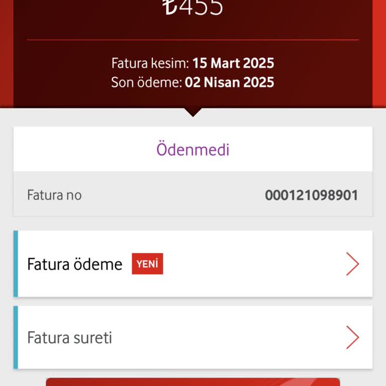 Fatura Ödeme Sorunu: Vodafone Net'te Çözüm Bekliyorum