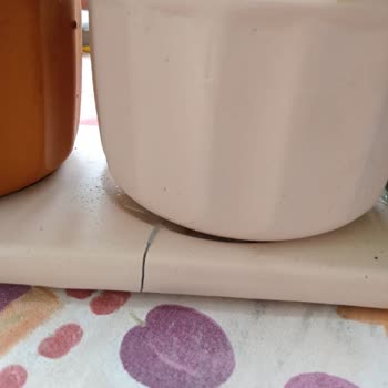 Çiçek Sepeti'nden Gelen Sipariş Hayal Kırıklığı Yarattı