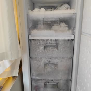 Derin Dondurucu Kabusu: Arçelik Servis Sorunları