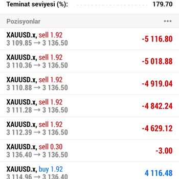 Yanıltıcı Yatırım Danışmanlığı Deneyimi