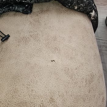 Rapsodi Mobilya Koltuk Takımında Tehlikeli Çiviler