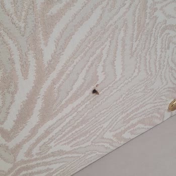 Hasarlı Mobilyalar Ve İletişim Problemleri