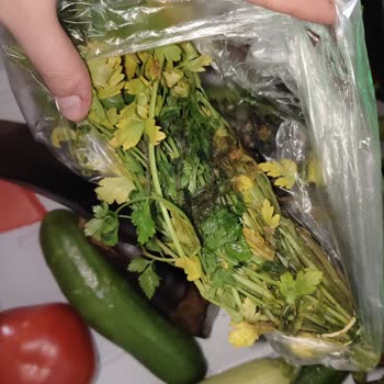 Arçelik Buzdolabı: Tazelik Sorunu Ve Servis İlgisizliği