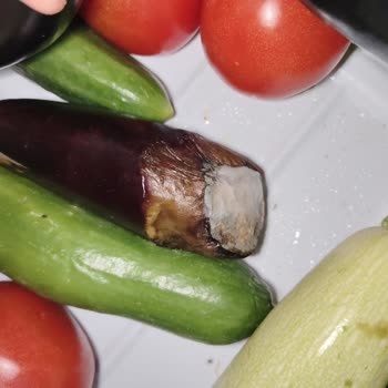 Arçelik Buzdolabı: Tazelik Sorunu Ve Servis İlgisizliği