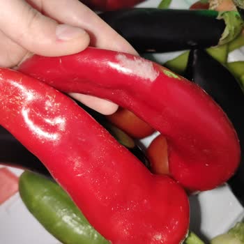 Arçelik Buzdolabı: Tazelik Sorunu Ve Servis İlgisizliği