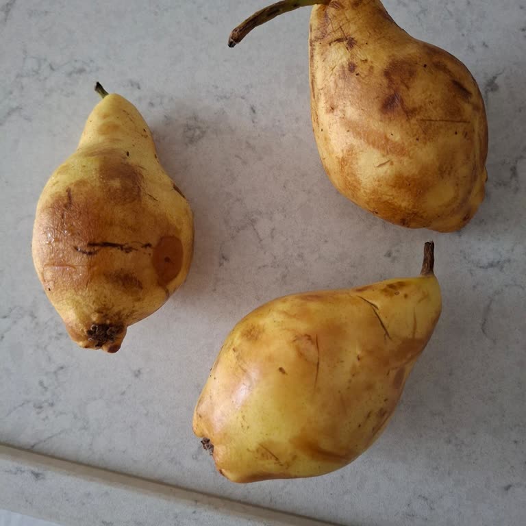 Yanlış Ve Çürük Ürünlerle Gelen Sipariş Sorunu