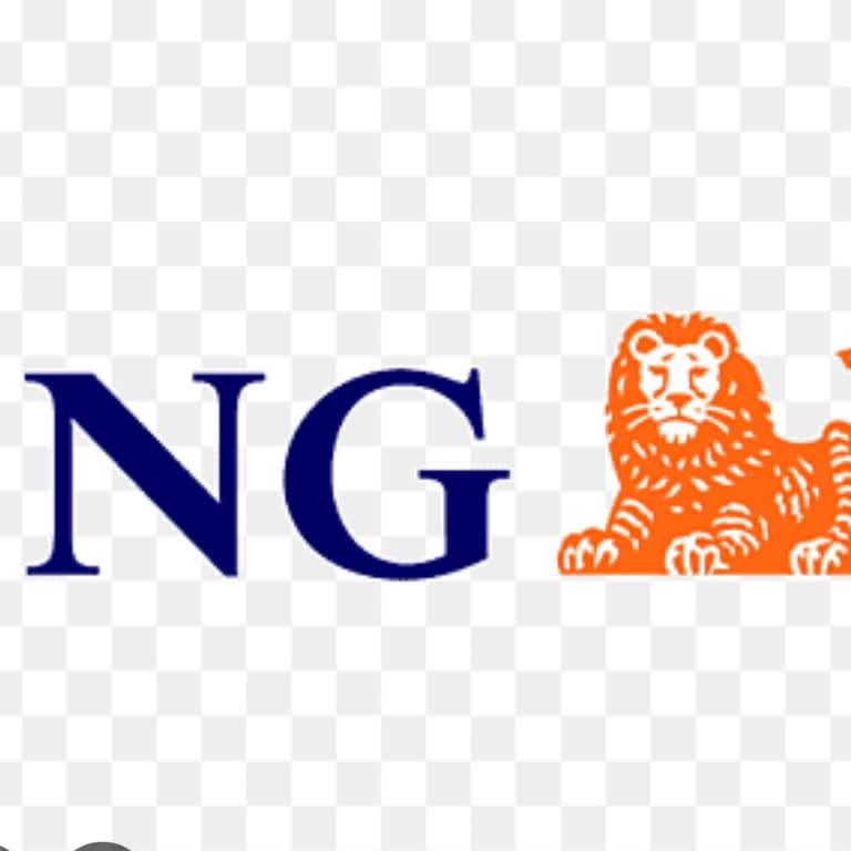 ING Bank Müşteri Temsilcisine Ulaşmak İmkansız