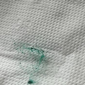 Bulaşık Süngerinde Şaşırtıcı Keşif