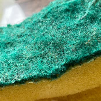 Bulaşık Süngerinde Şaşırtıcı Keşif