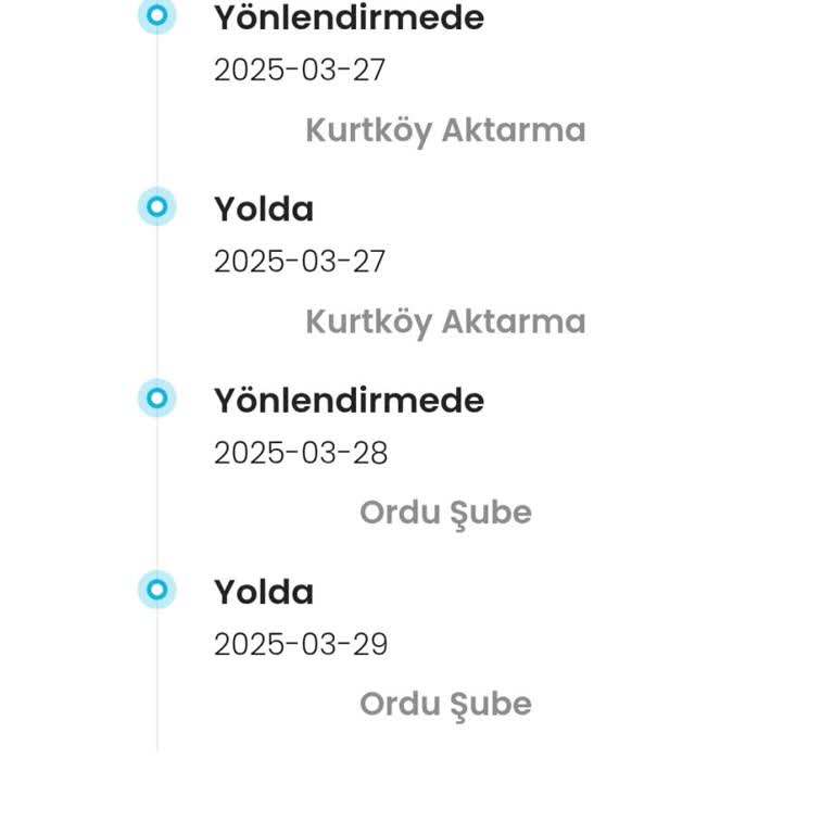 Kargoist'te Kayıp Kargo: Giresun'a Ulaşamayan Paket