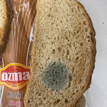 Özma Unlu Mamülleri Küflü Ekmek Ve İlgisiz Market Yetkilisi