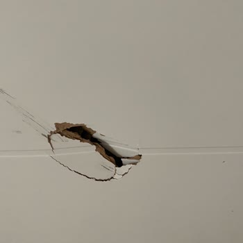 Parayı Alana Kadar Hizmet, Sonrası Umursamazlık