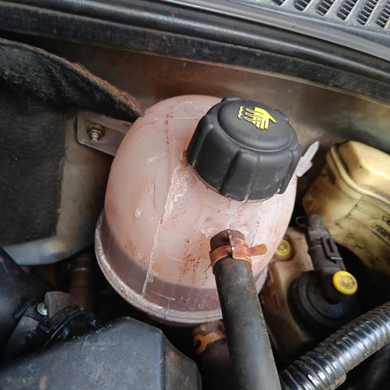 Üst Kapak Conta Onarıcı Hayal Kırıklığı