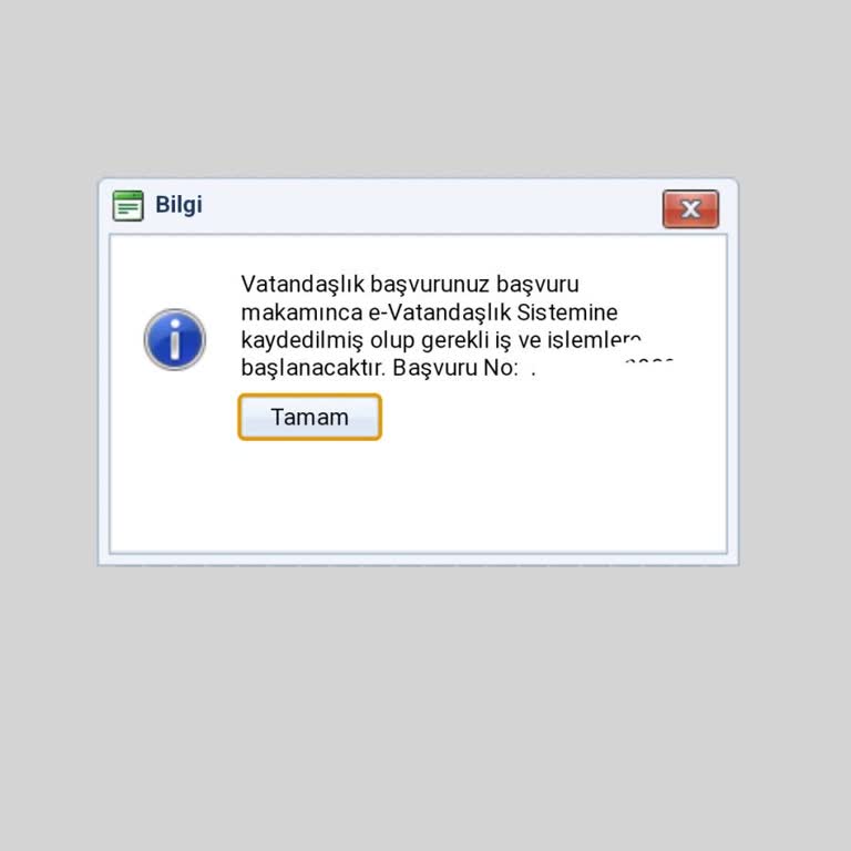 Nüfus Ve Vatandaşlık İşleri Vatandaşlık Başvurusunda Bitmeyen Bekleyiş