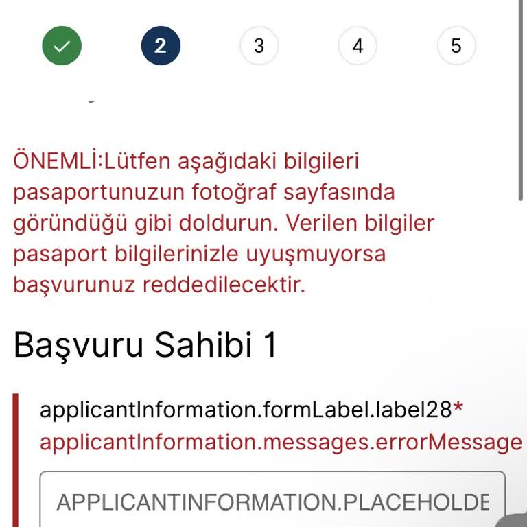 VFS Global Randevu Formunda Sürekli Hata Mesajı