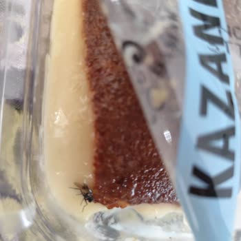 Kazandibi Tatlısında Ölü Sinek Şoku