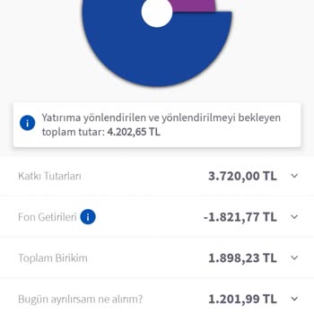 Agesa Hayat Emeklilik: Beklentilerin Altında Kalan Birikim Sistemi