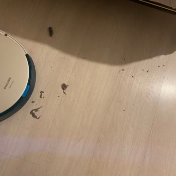 Philips Robot Süpürge: Beklentileri Karşılamayan Performans