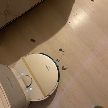 Philips Robot Süpürge: Beklentileri Karşılamayan Performans