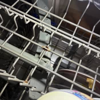 Teka Bulaşık Makinesinde Paslanma Sorunu Ve Yüksek Yedek Parça Fiyatları