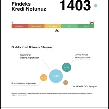 Findeks Raporundaki Hatalı Puan Düşüşü Ve Yanlış Gecikme Bildirimi