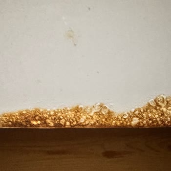 Samsung Buzdolabında Kapak Çürümesi Sorunu