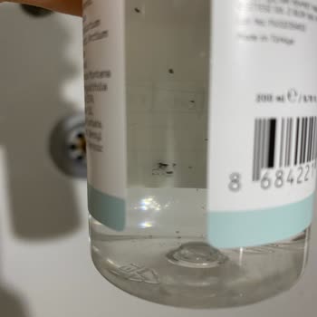 Üründe Güven Sarsan Küf/Kir Sorunu