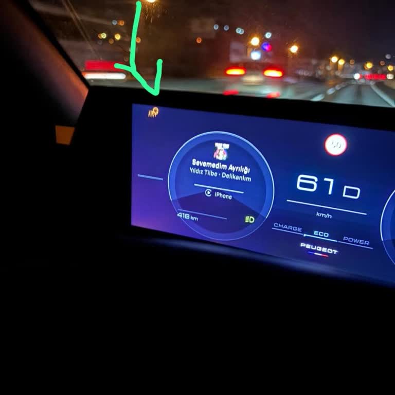 Peugeot 3008'de Sürekli Kamera Arızası