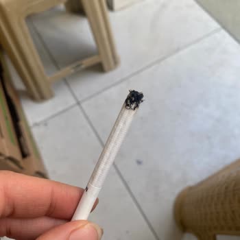 Marlboro Touch Blue: Kalite Düşüşü Ve Güvenlik Sorunları