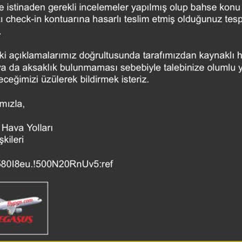 Pegasus Uçuşunda Hasarlı Valiz Ve Yetersiz Kontrol Süreci