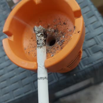 Parliament Kalitesindeki Düşüş: Tüketici Güveni Sarsılıyor