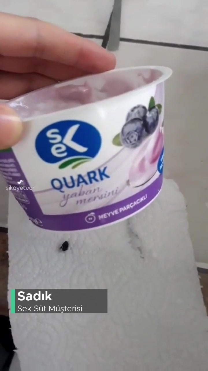 Sek Quark Yoğurttan Böcek Çıktı videonun kapak resmi
