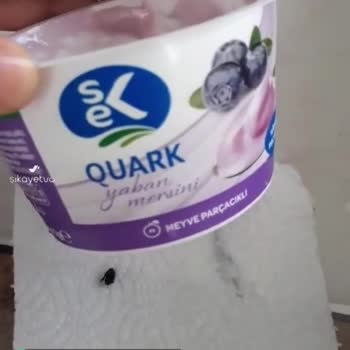 Sek Quark Yoğurttan Böcek Çıktı