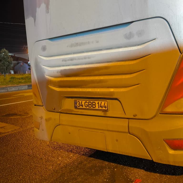 Varan Turizm Yolculuğunda Sorunlar Zinciri