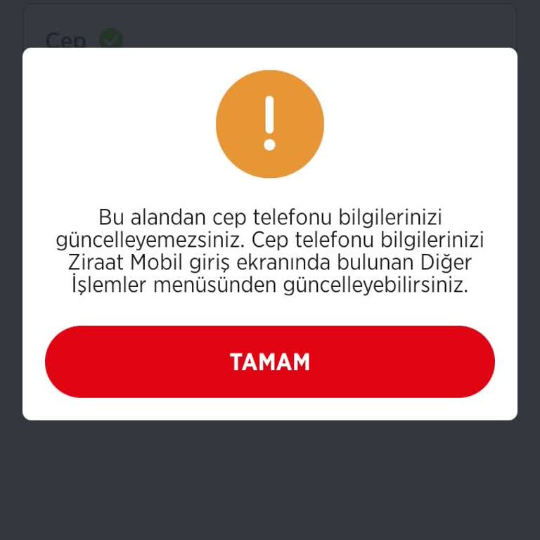 Mobil Bankacılıkta Güncelleme Çilesi