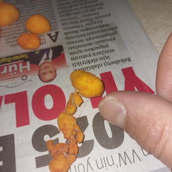 Simbat Fıstıklarında Hijyen Sorunu