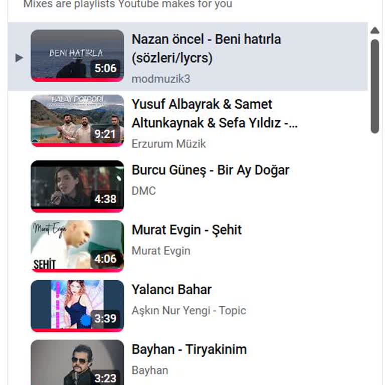 Türk Milletine Yönelik Haksız Muamele