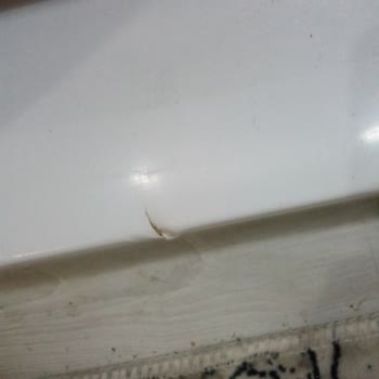 Windsor Buzdolabında Sürekli Deformasyon Sorunu