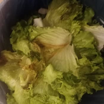 Bilkent Migros Sanal Mağaza Siparişlerinde Tazelik Ve Eksiklik Sorunu