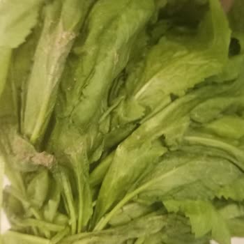 Bilkent Migros Sanal Mağaza Siparişlerinde Tazelik Ve Eksiklik Sorunu